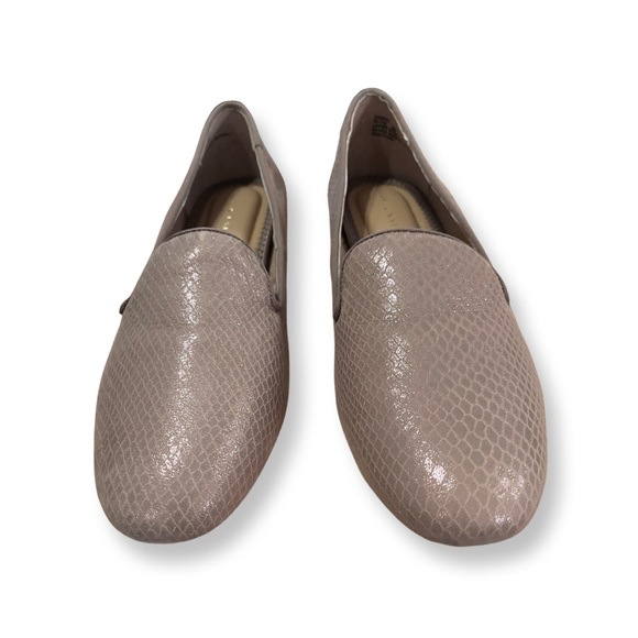 New in box, Kelly & Katie Size 9 Taupe Flats - Picture 5 of 8